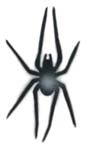 Pochoir ''Black Widow Spider '' Stencil