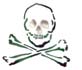 Pochoir '' Skull & Cross Bones'' Stencil